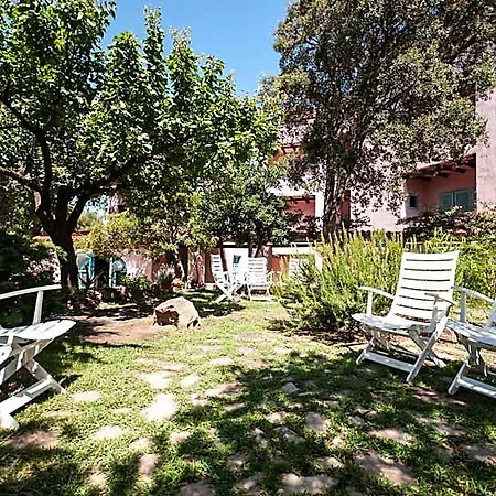 Hotel Scintilla 3*